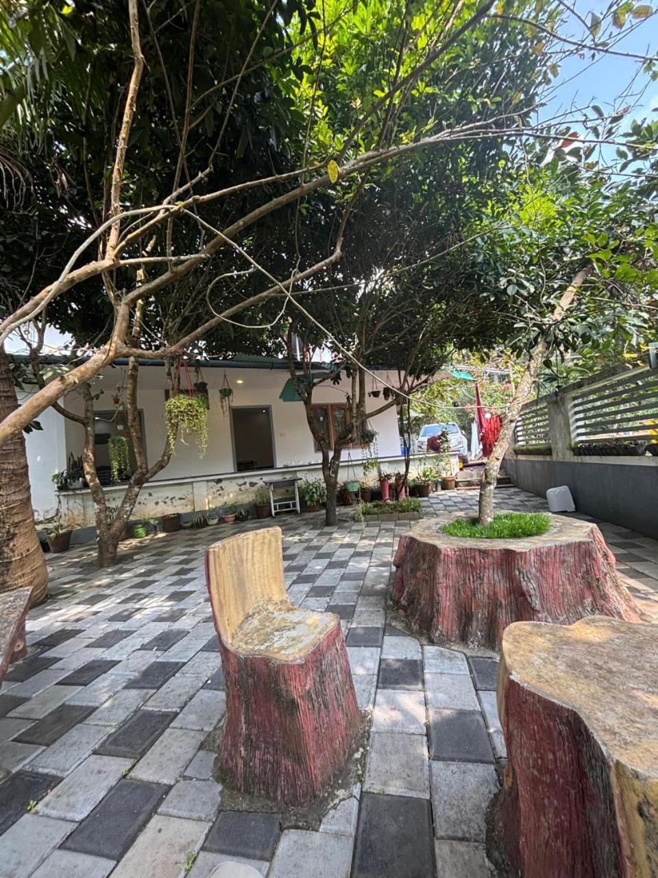 View Valley Homestay Munnar Exterior foto