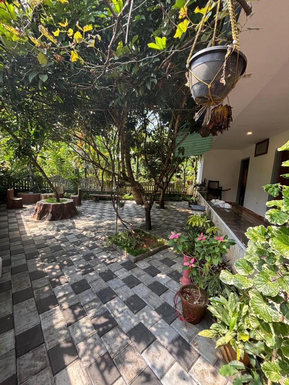 View Valley Homestay Munnar Exterior foto